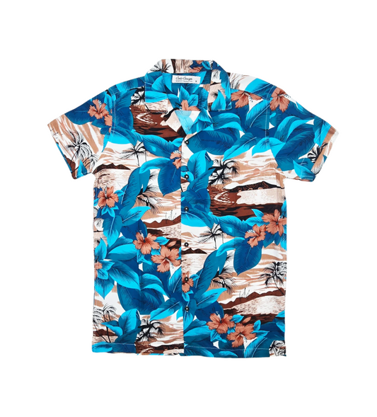 MEN'S COLOR CRAZE 2-PIECE BUTTON UP SHORT SLEEVES SHIRT & SHORTS SET (BLUE/BROWN)