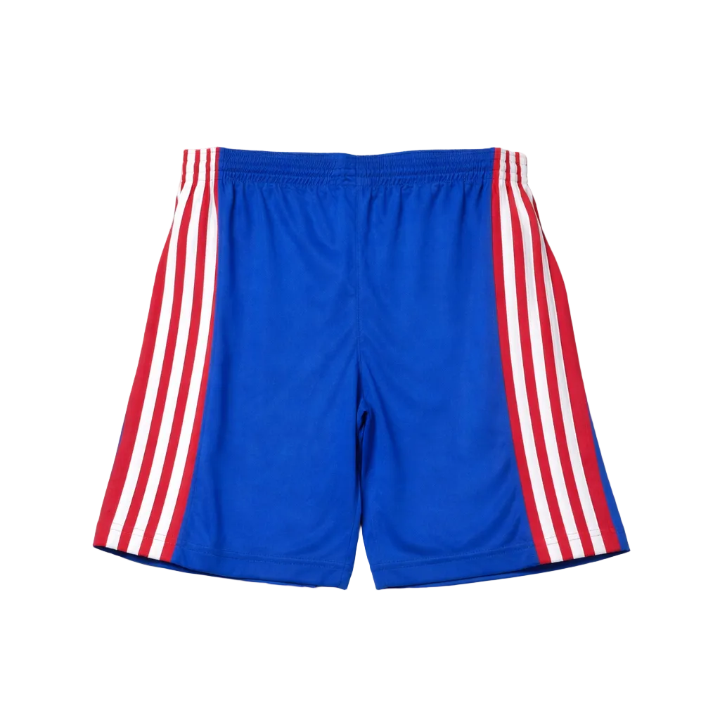 MEN'S AGILE MESH SPORTS SHORTS (ROYAL/RED)