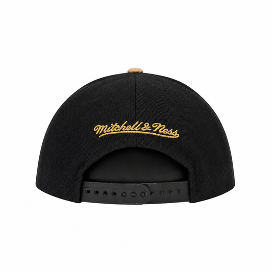 MITCHELL & NESS TORONTO RAPTORS TEAM DNA 2 SNAPBACK HAT