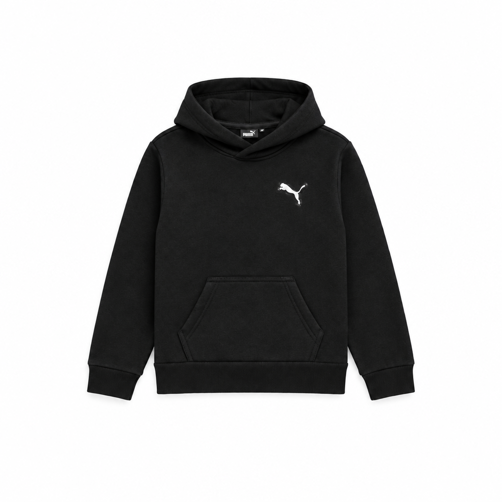 PUMA CORE PACK PO HOODIE(4-7 YEARS)