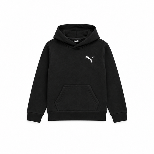 PUMA CORE PACK PO HOODIE(4-7 YEARS)
