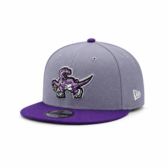 MEN'S NEW ERA NBA TORONTO RAPTORS DINO LOGO LAVENDER & PURPLE 30TH ANNIVERSARY SEASON PATCH SNAPBACK HAT