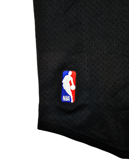 PRO STANDARD NBA TORONTO RAPTORS LOGO MEN'S MESH BUTTON UP BLACK/RED JERSEY