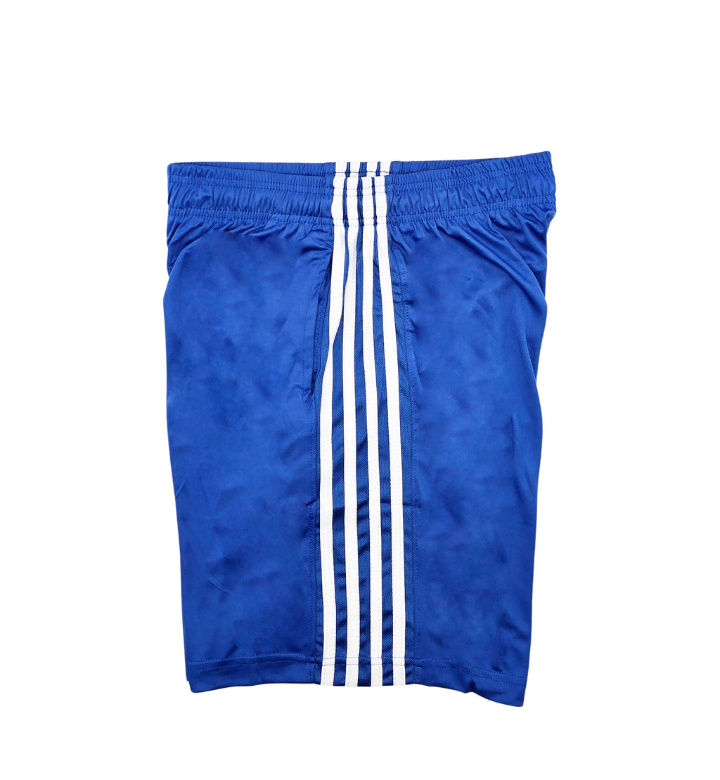 MEN'S AGILE MESH SPORTS SHORTS (ROYAL/WHITE)