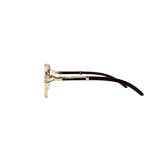 BROWN/BLACK/GOLD DESIGNER SUNGLASSES (J7261)