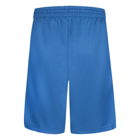 JORDAN YOUTH BOYS' WOVEN SHORTS (BLUE SIZES S-XL)