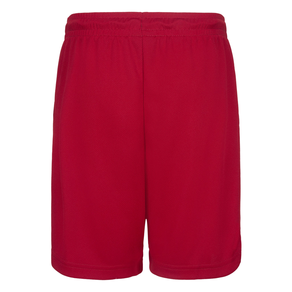 JORDAN YOUTH DRI-FIT MESH SHORTS (RED SIZE S-XL)