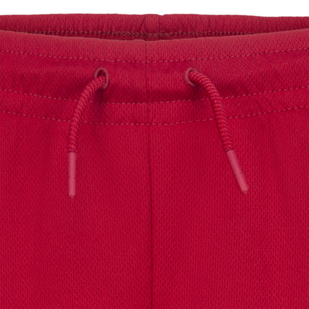 JORDAN YOUTH DRI-FIT MESH SHORTS (RED SIZE S-XL)