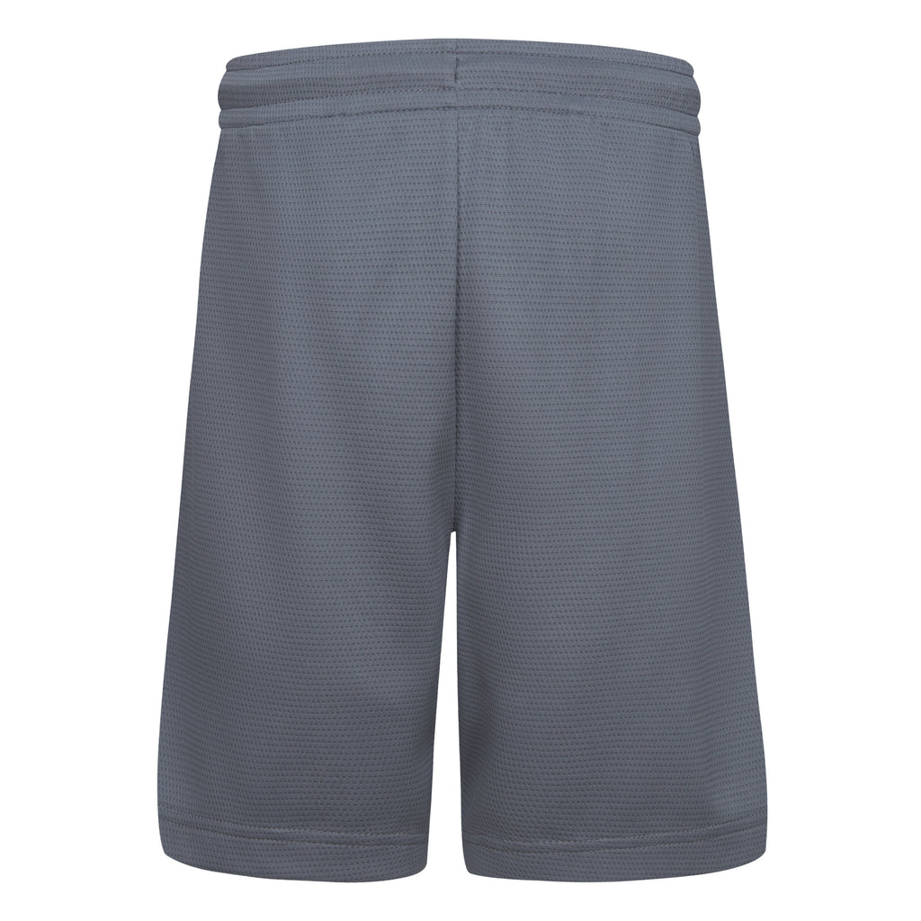 JORDAN YOUTH DRI-FIT TRAINING SHORTS (GREY SIZE S-XL)