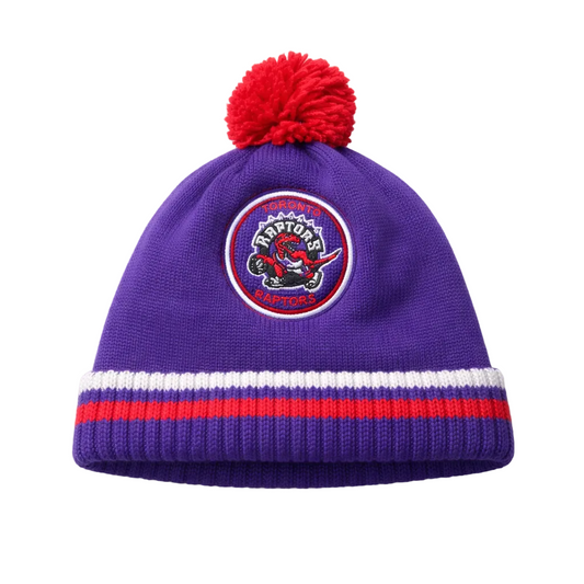 MITCHELL & NESS NBA TORONTO RAPTORS PURPLE OLD LOGO TOUQUE