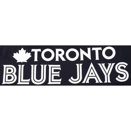 PRO STANDARD MEN'S MLB AMERICAN LEAGUE TORONTO BLUE JAYS BLACK PULLOVER HOODIE