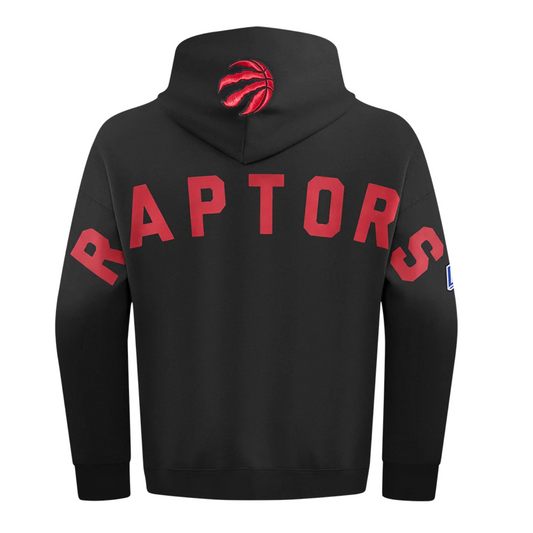 PRO STANDARD MEN'S NBA EASTERN CONFERENCE TORONTO RAPTORS BLACK & RED PULLOVER HOODIE