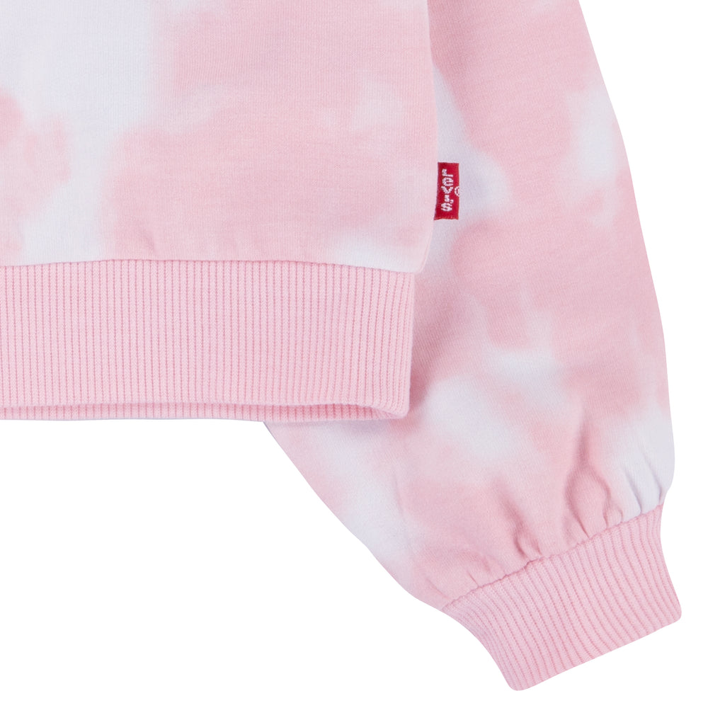 LEVI'S LITTLE GIRLS' 2 PIECE CREWNECK & JOGGER SET (PINK SIZE 4-6X)