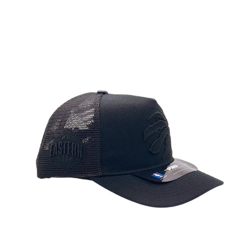 PRO STANDARD NBA TORONTO RAPTORS CLASSIC BLACKOUT WOOL BLEND PRO PINCH TRUCKER SNAPBACK CAP