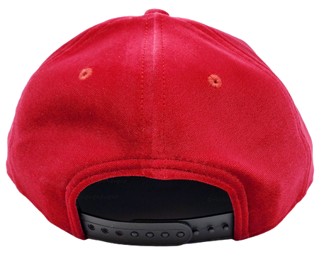 MEN'S TORONTO RAPTORS 950 BLACK ON RED VELOUR HAT