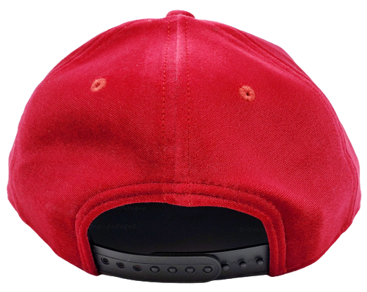 MEN'S TORONTO RAPTORS 950 BLACK ON RED VELOUR HAT