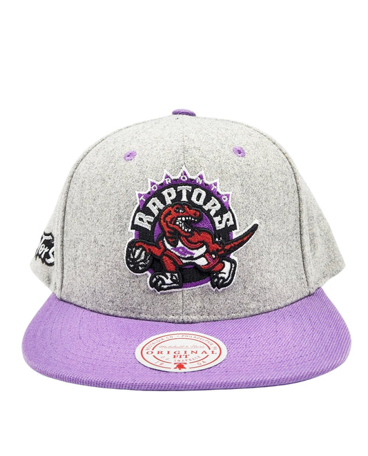 TORONTO RAPTORS NBA MELTON SNAPBACK (GREY)