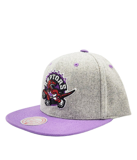 TORONTO RAPTORS NBA MELTON SNAPBACK (GREY)