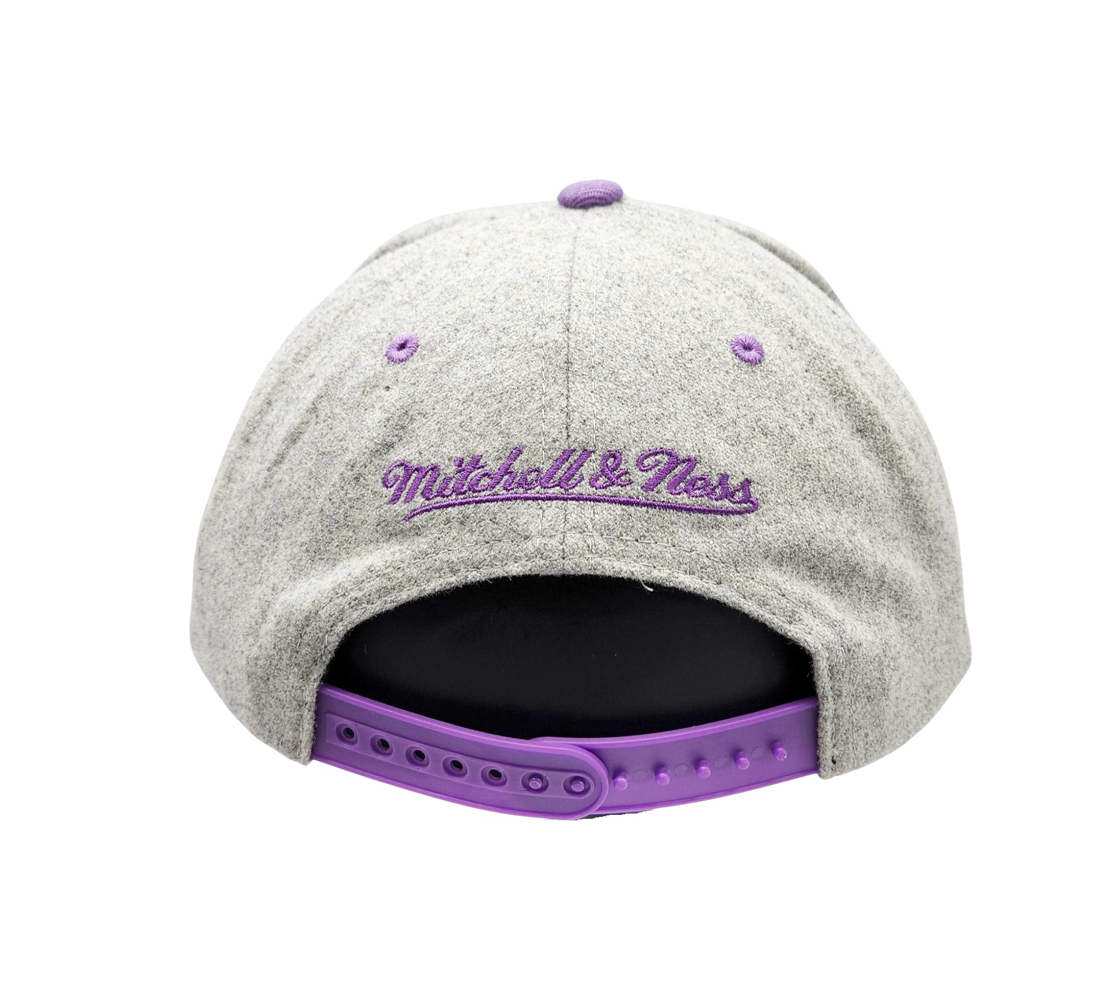 TORONTO RAPTORS NBA MELTON SNAPBACK (GREY)