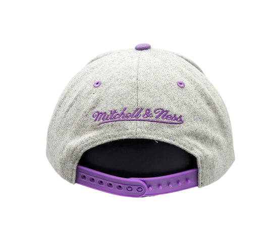 TORONTO RAPTORS NBA MELTON SNAPBACK (GREY)