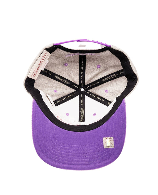 TORONTO RAPTORS NBA MELTON SNAPBACK (GREY)