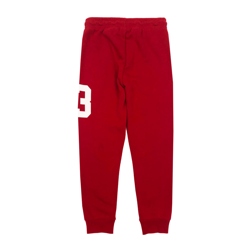 JUMPMAN AIR GFX KIDS JOGGERS (95A864)