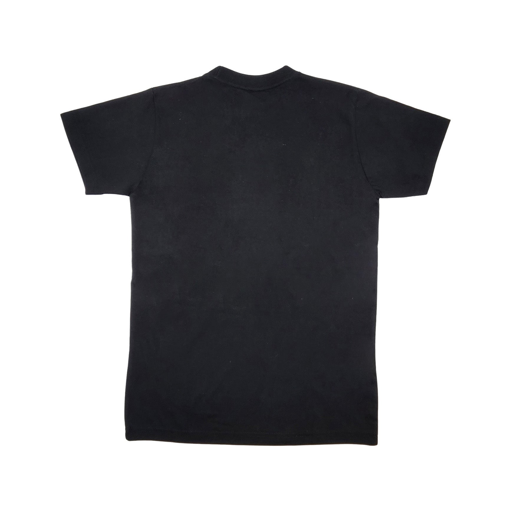 TORONTO CANADA EMBROIDERED LOGO PRINT T-SHIRT (BLACK)