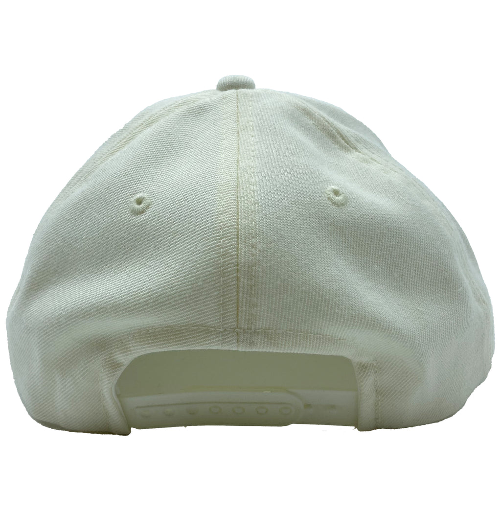 MEN'S PREMIUM CLASSIC PLAIN SNAPBACK