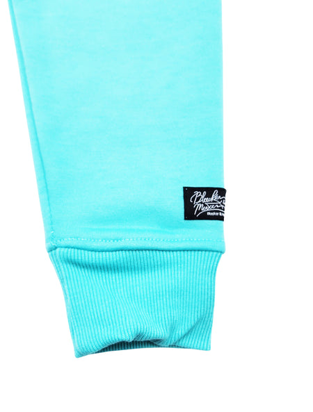 BLEECKER & MERCER MEN'S BEAR GRAPHIC FLEECE HOODIE (BRIGHT AQUA)