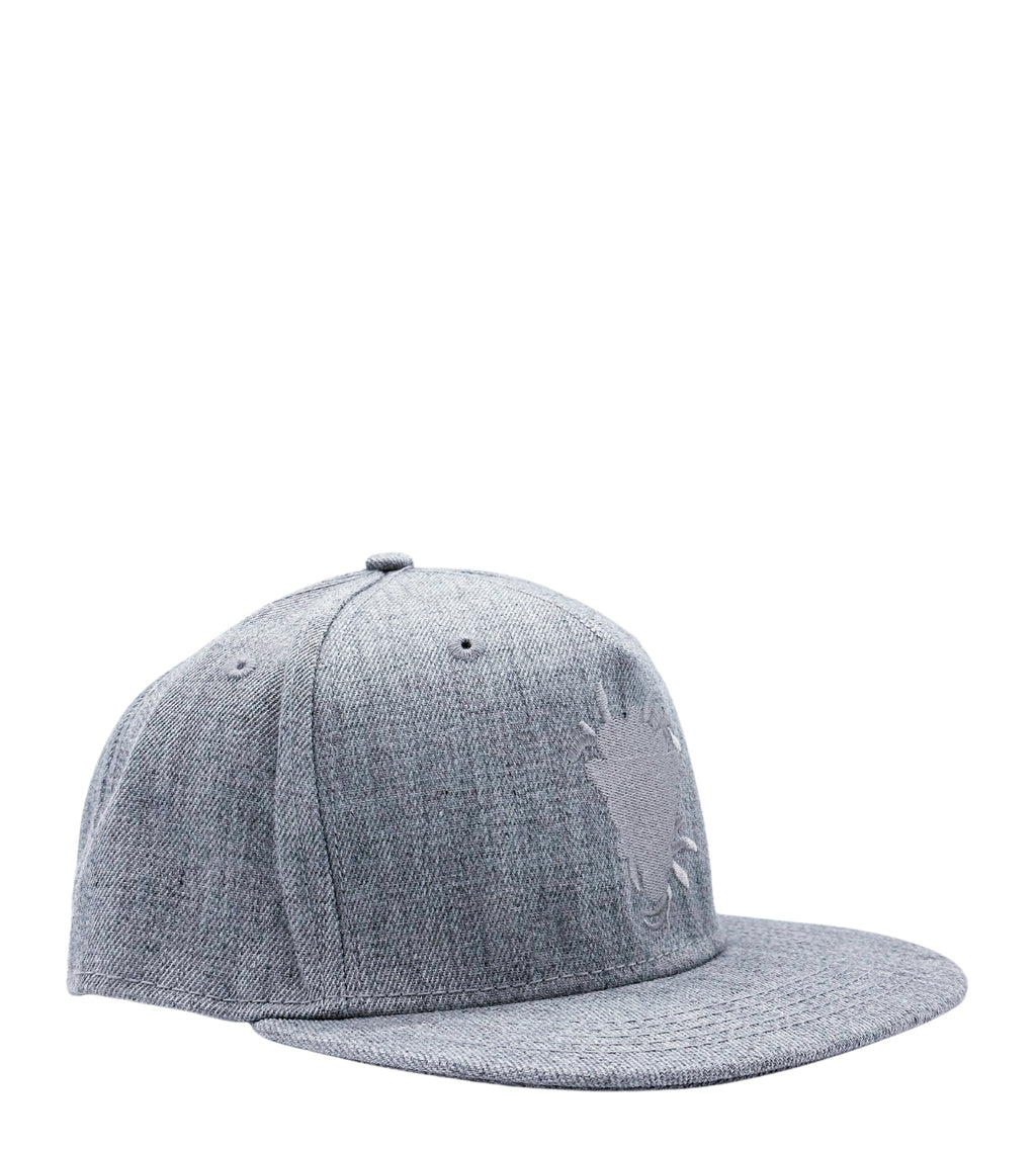 MEN'S CROOKS & CASTLE WOVEN SNAPBACK HAT (GREY)