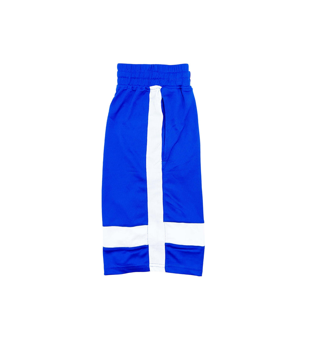 MEN'S MESH SPORTS SHORTS (ROYAL BLUE)