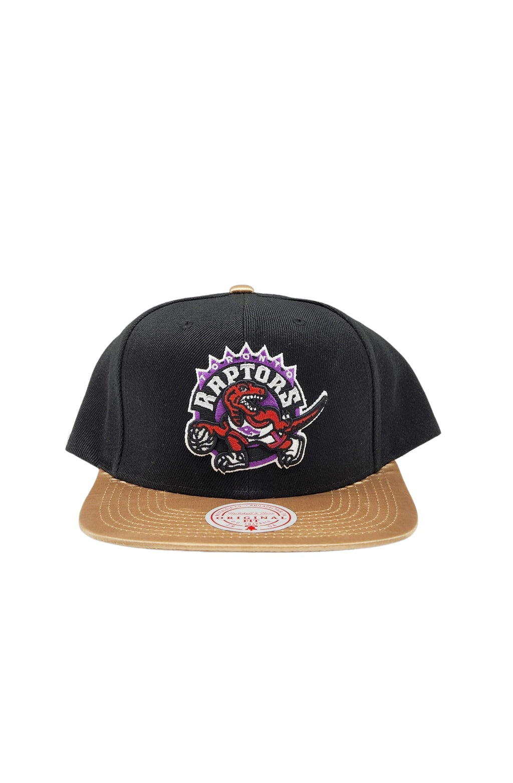 MITCHELL & NESS TORONTO RAPTORS TEAM DNA 2 SNAPBACK HAT