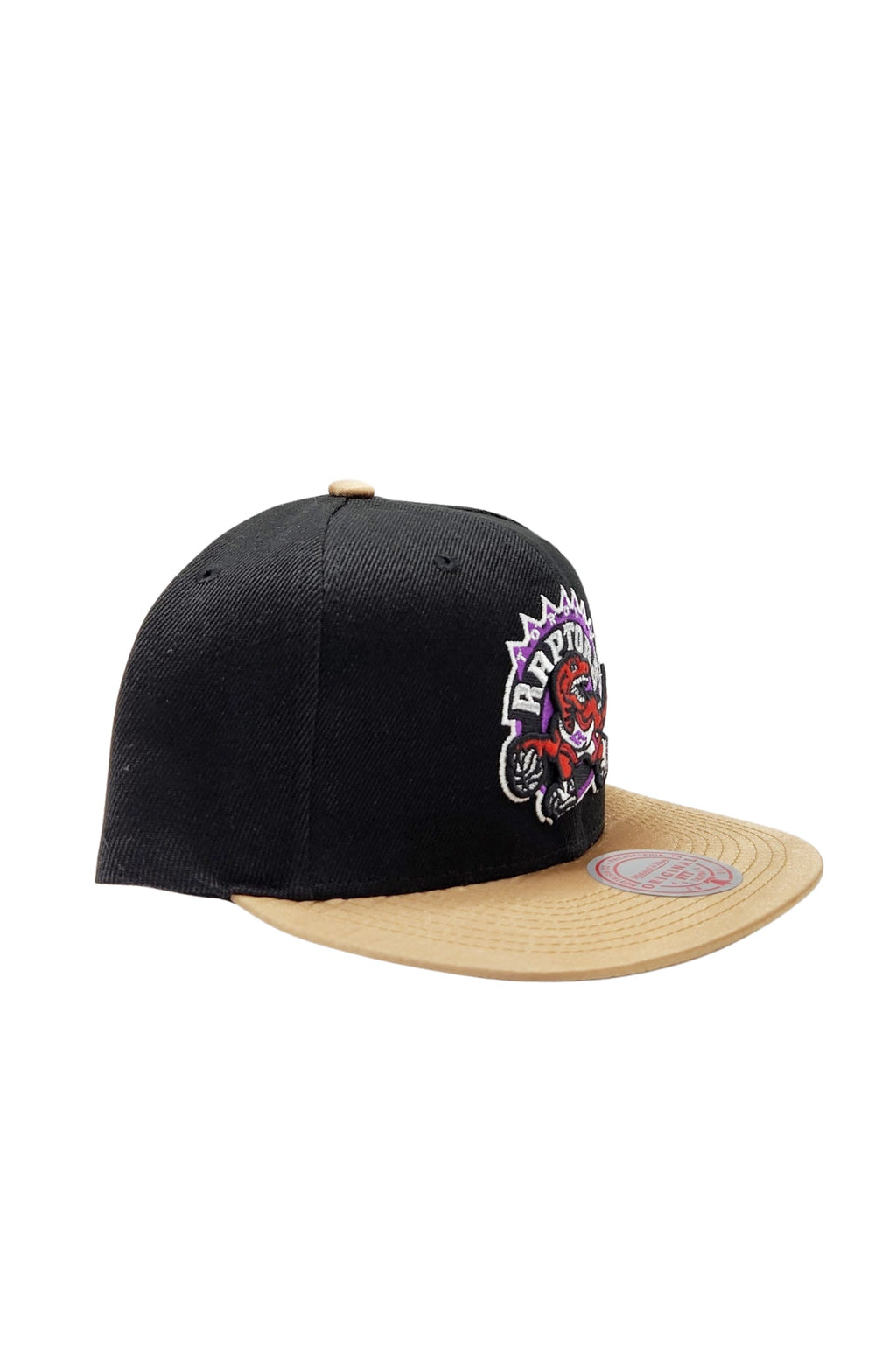 MITCHELL & NESS TORONTO RAPTORS TEAM DNA 2 SNAPBACK HAT