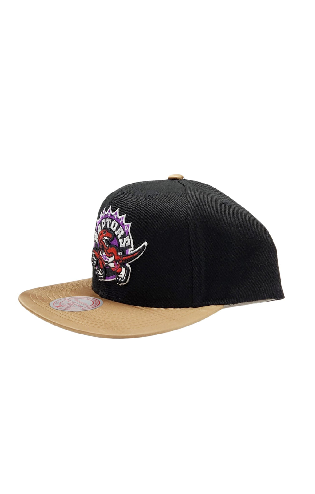 MITCHELL & NESS TORONTO RAPTORS TEAM DNA 2 SNAPBACK HAT