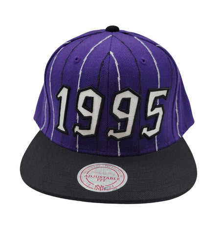 TORONTO RAPTORS 1995 SNAPBACK HAT