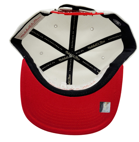 TORONTO RAPTORS RED/BLACK ON WHITE SNAPBACK