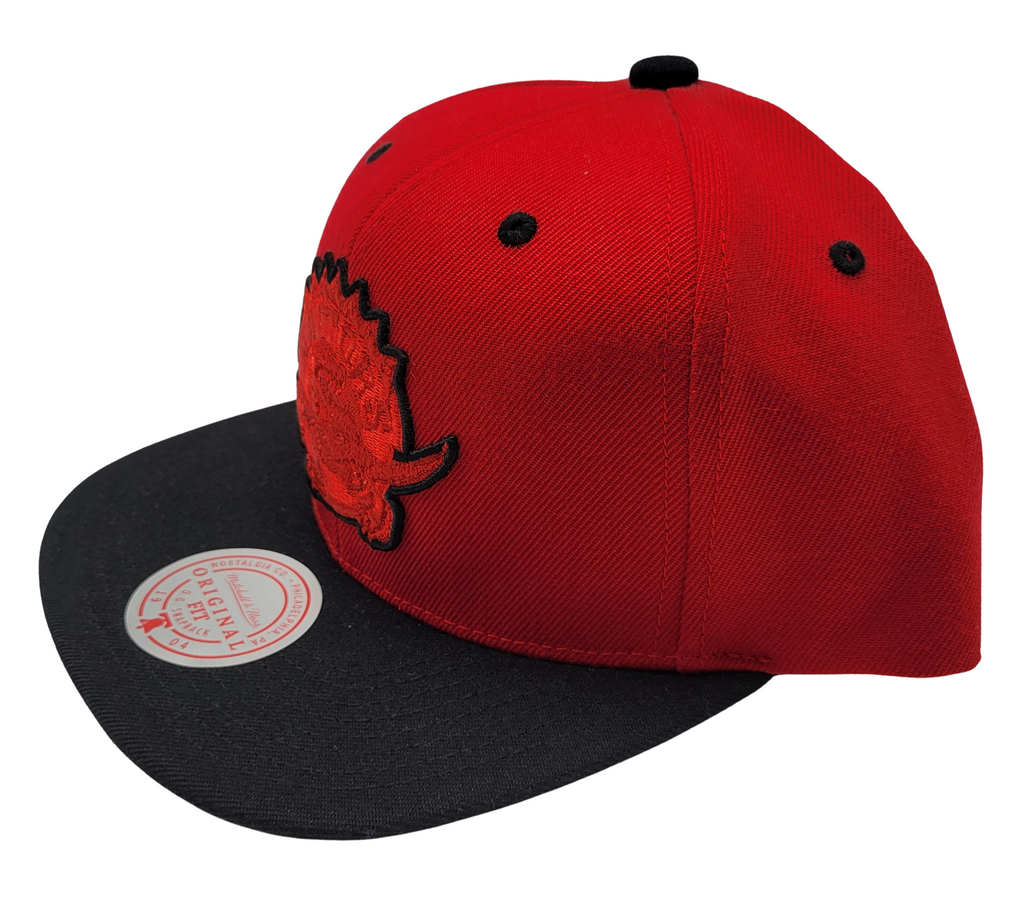 TORONTO RAPTORS DINO LOGO RED BLACK SNAPBACK HAT